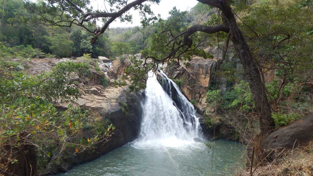 දුවිලි ඇල්ල