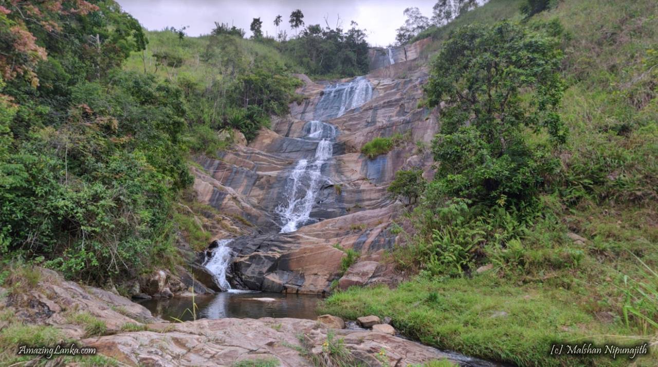 ගැරඬි  ඇල්ල