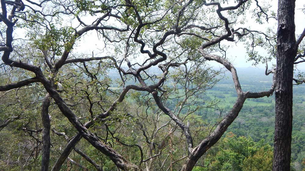 බෙල්ලන්ගල කන්ද