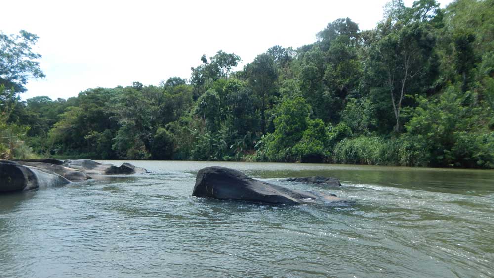 අලි කට ඇල්ල